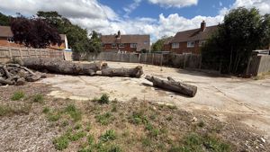 Photo 5- click for photo gallery